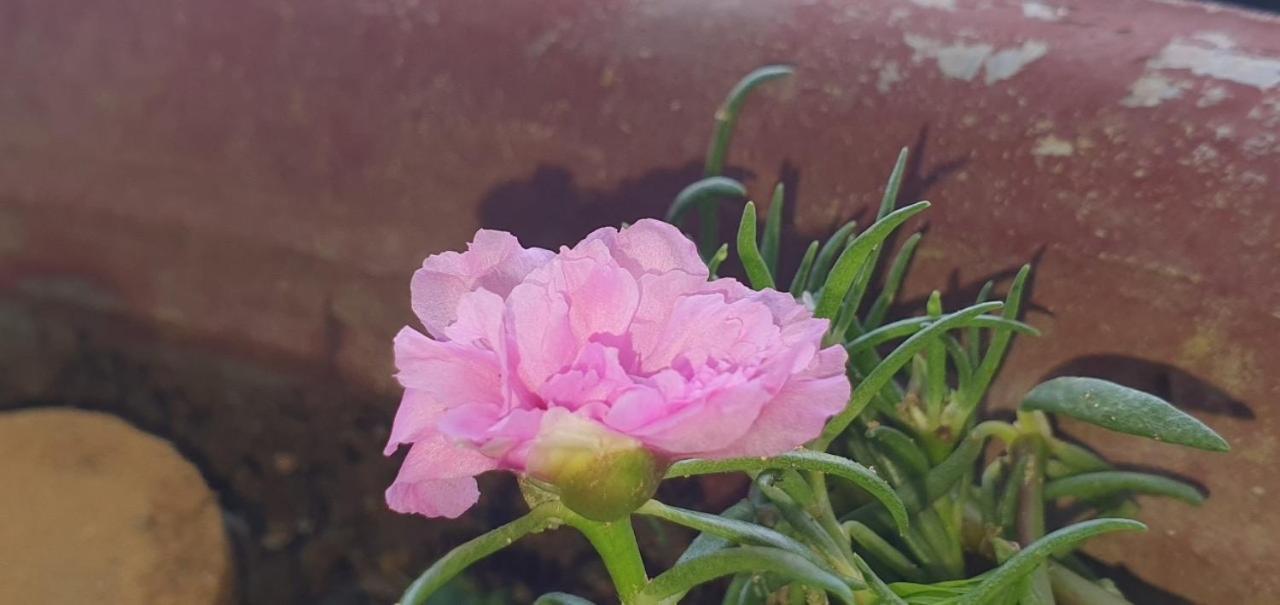 Kala View Homestay Di Linh Luaran gambar