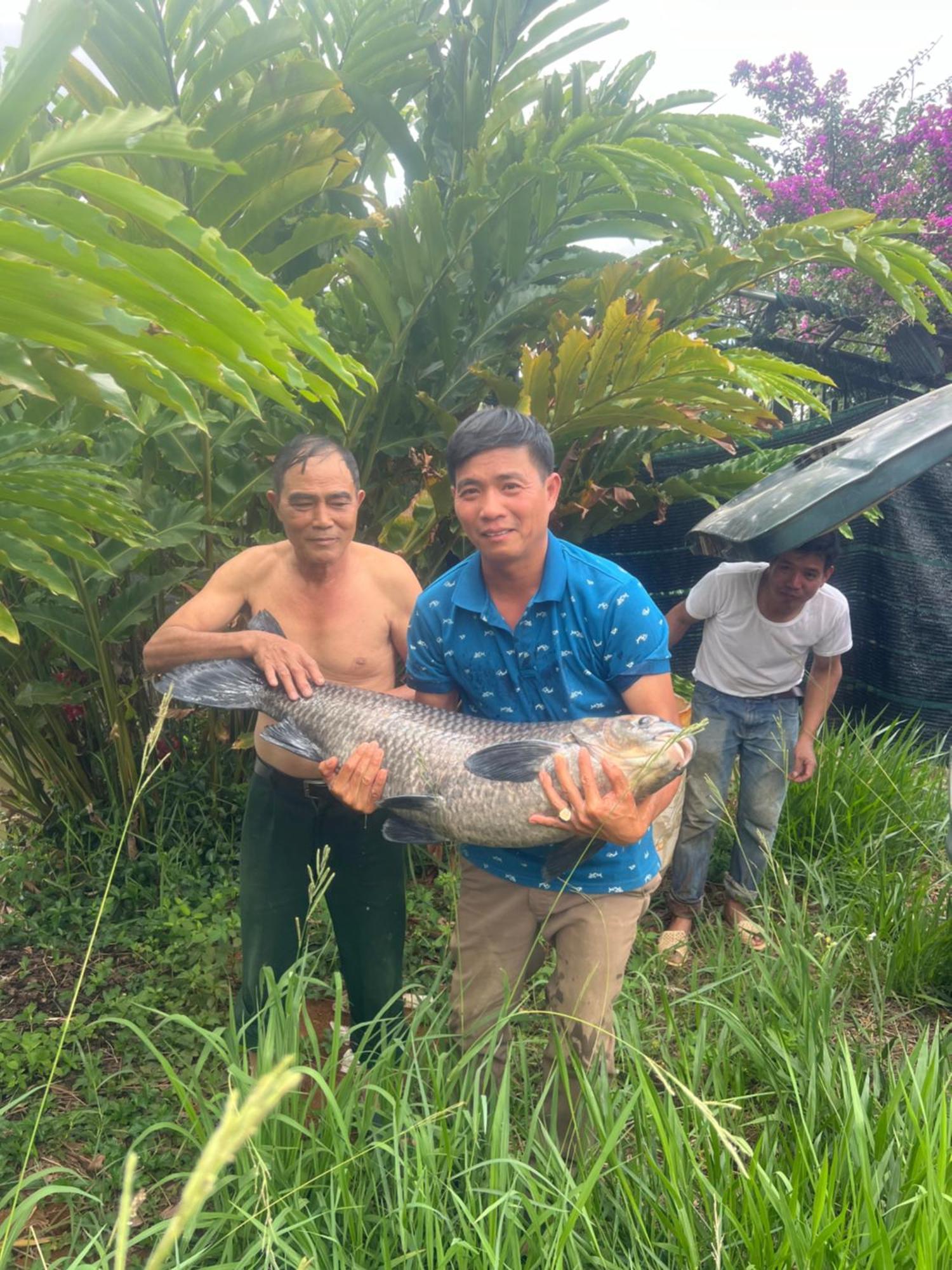 Kala View Homestay Di Linh Luaran gambar